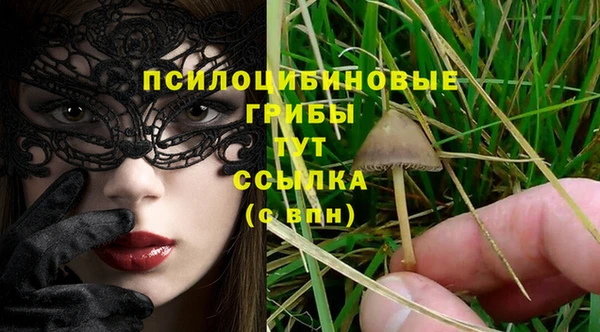 МДПВ Заволжье