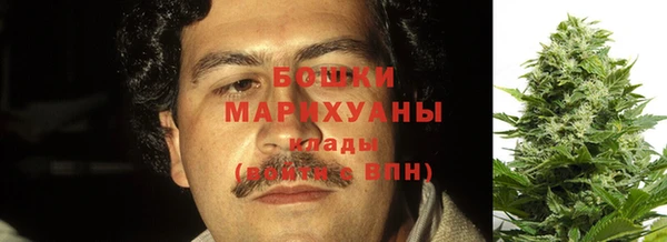 первитин Заводоуковск