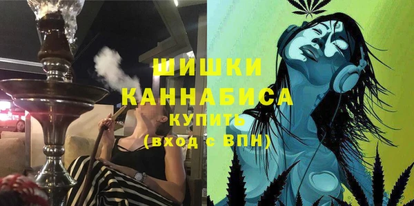 первитин Заводоуковск