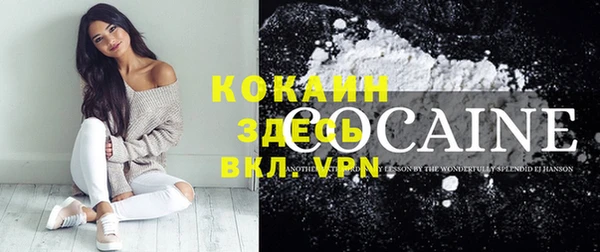 стаф Шали