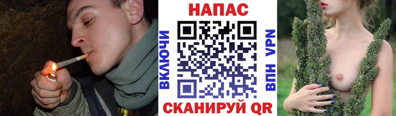 это состав  Салаир  Каннабис Amnesia 